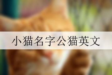 个性霸气宠物名字贼酷贼拉风