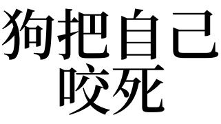 梦见狗把狗咬死了