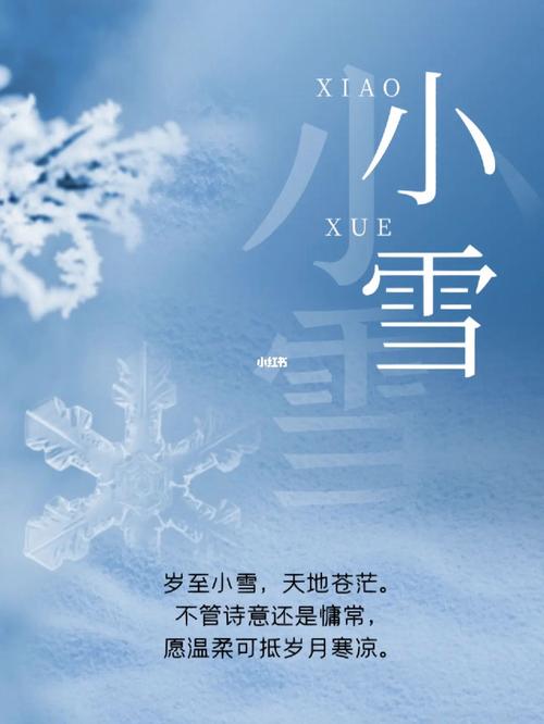 2020年小雪双胞胎起名诗情画意