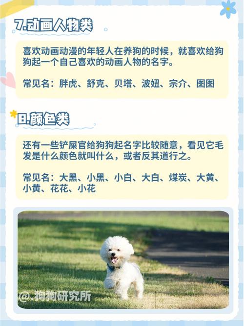 狗名带好运 内涵的狗狗名字大全