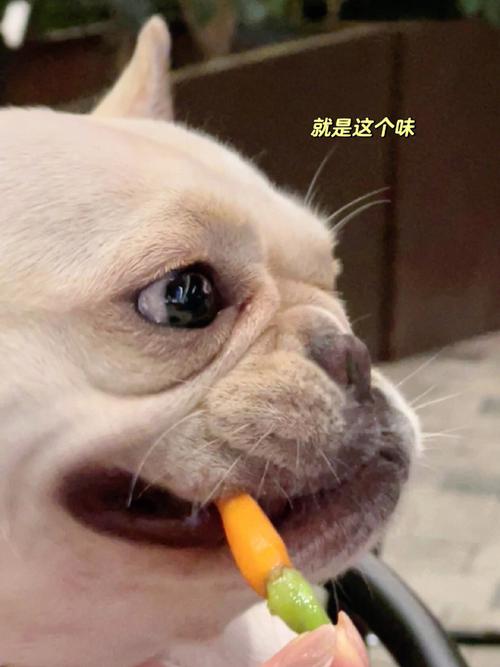 梦见兔子追我害怕被咬是什么意思