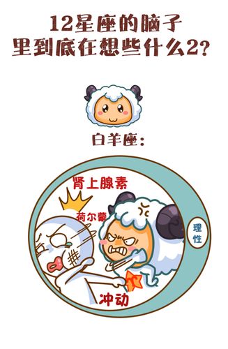 脑子最简单的星座