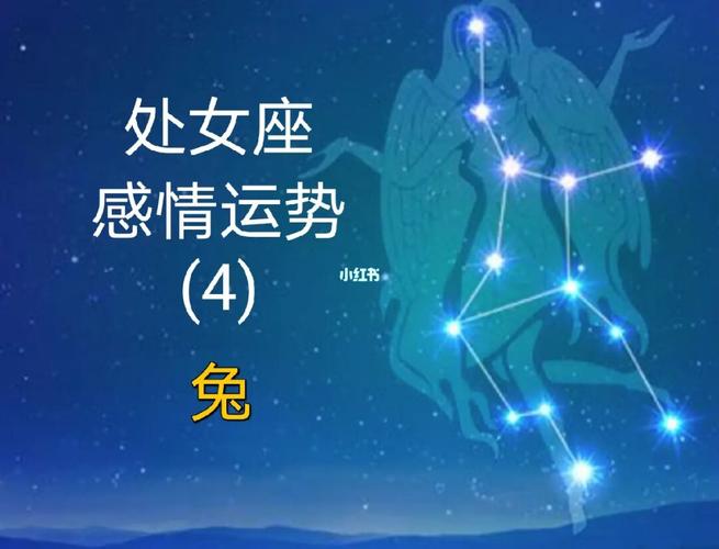 属兔处女座2021年爱情运势