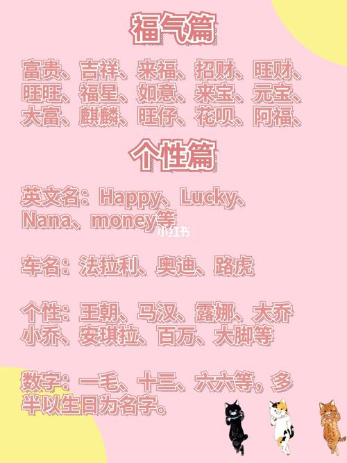 洋气宠物猫起名字有创意的