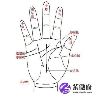 食指手相图解大全