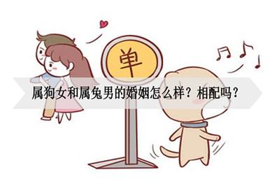男狗女兔结婚好不好?属兔女不喜欢什么样的对象?