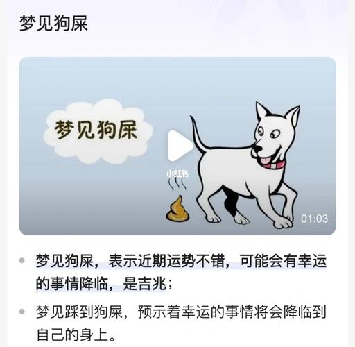 梦见吃狗屎是什么意思