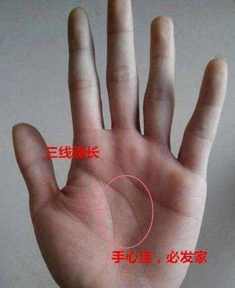 双手细腻白胖的女人手相好不好