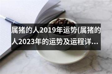 属猪人2019年职场开运妙招
