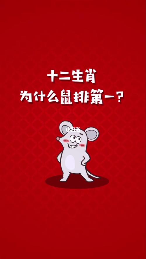 三令五申打一生肖