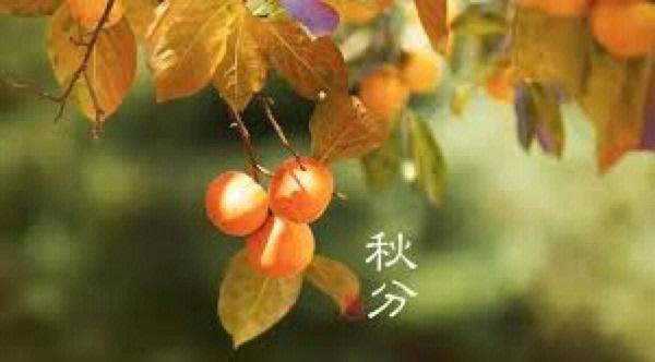 天秤座遇到职业乞丐时会怎么做