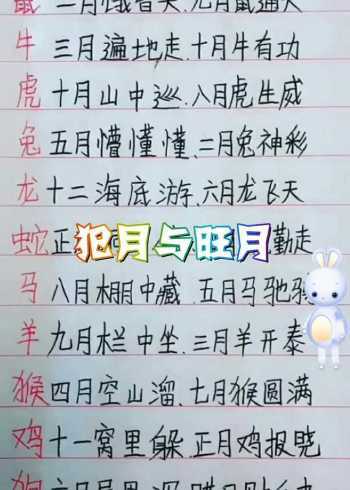 属兔几月生是一等命,四月、九月、十二月