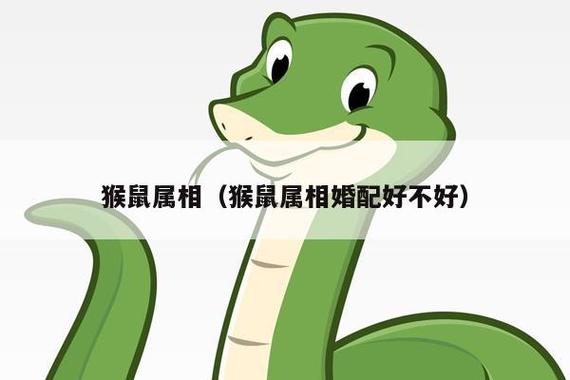 属猴和属鼠的合不合