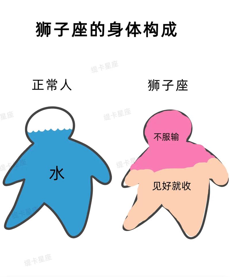 十二星座在人体