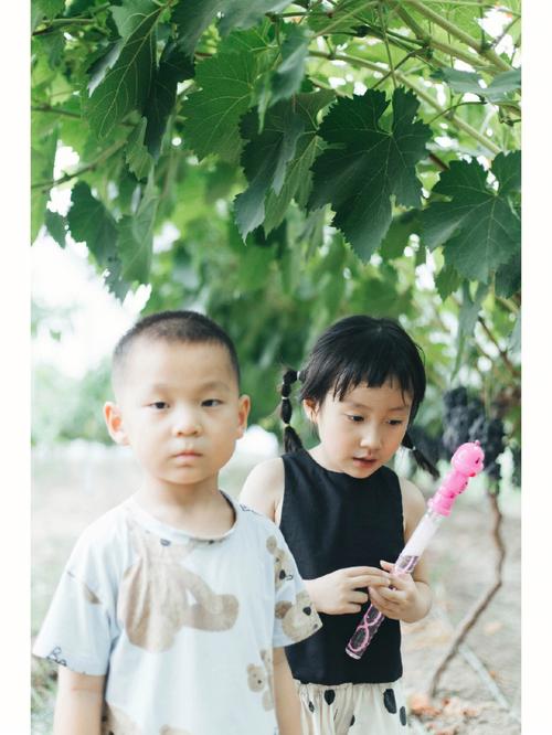 梦见摘葡萄代表什么意思