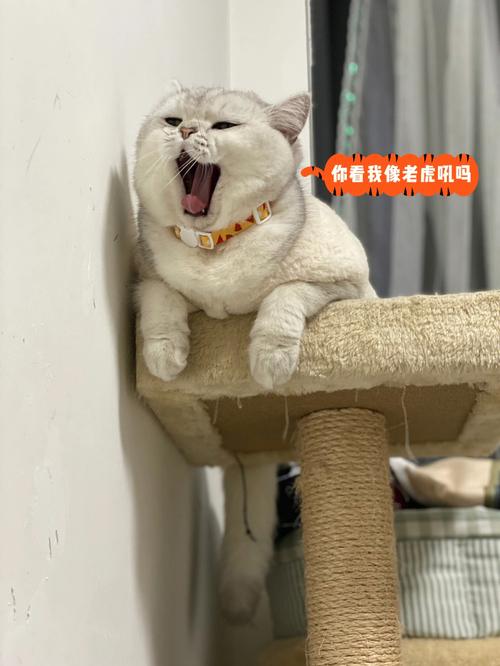 梦见花被人折
