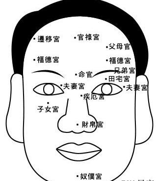 郑博士:面相能看出男女的桃花运吗?