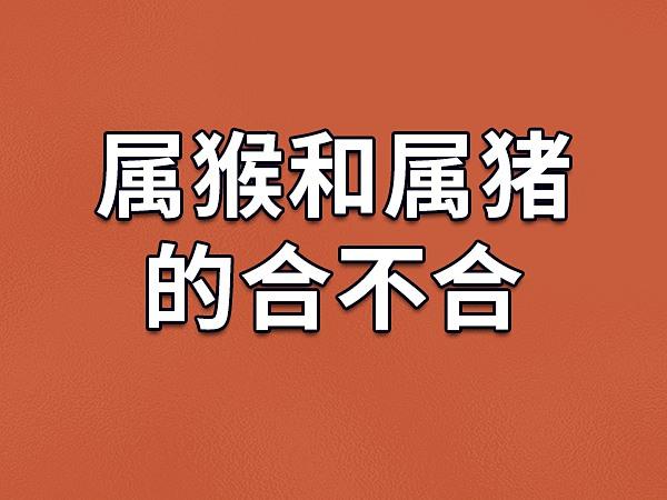 属猪跟属猴的合不合财