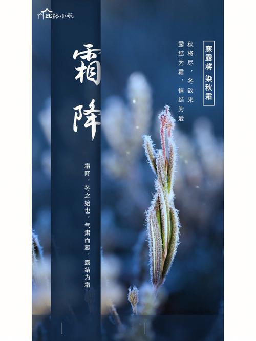 霜降节气出生的人命好不好喜用神是什么
