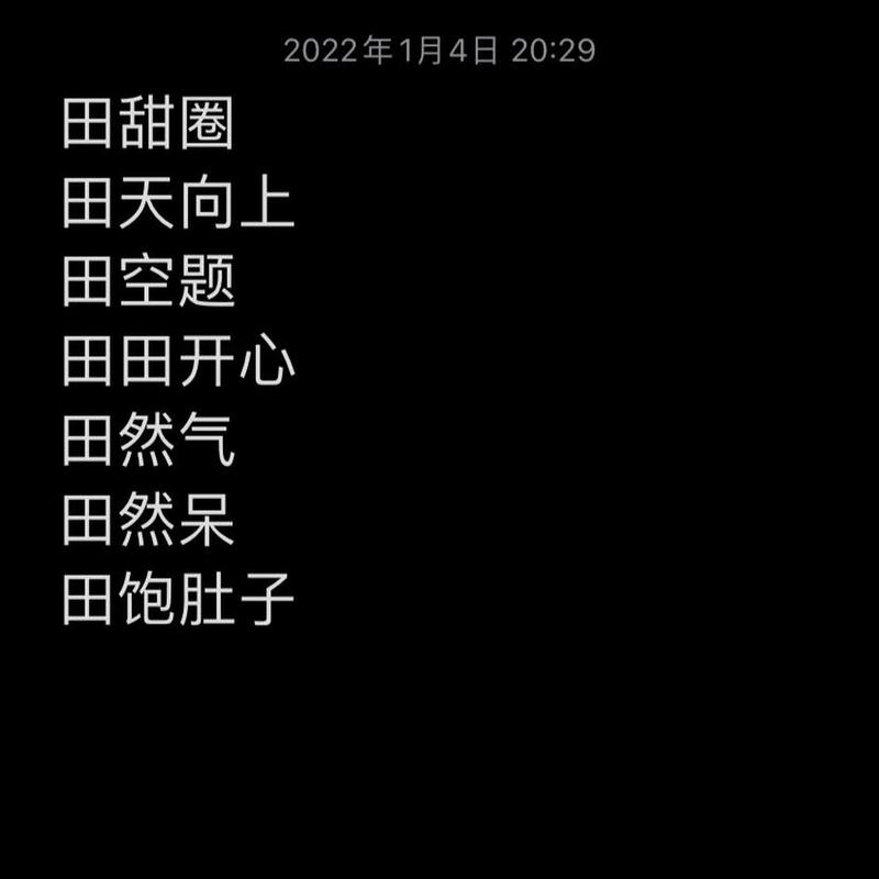 姓田女孩洋气名字100分