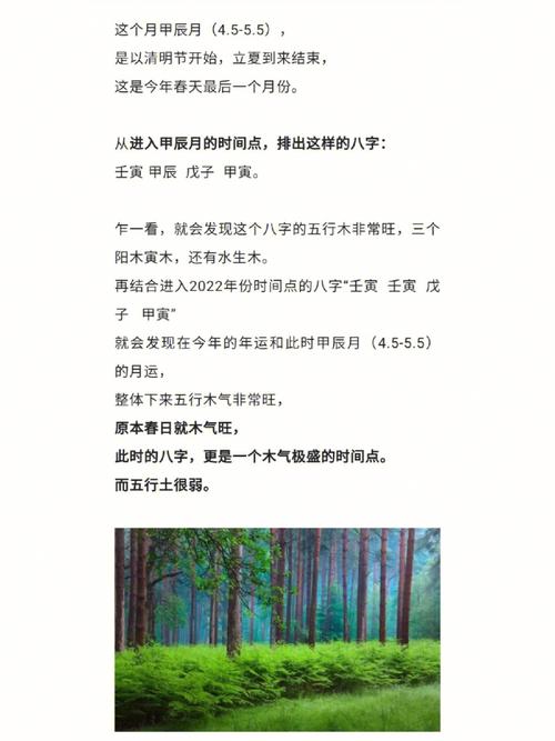 喜用神水木适合什么工作,喜木水的人运势