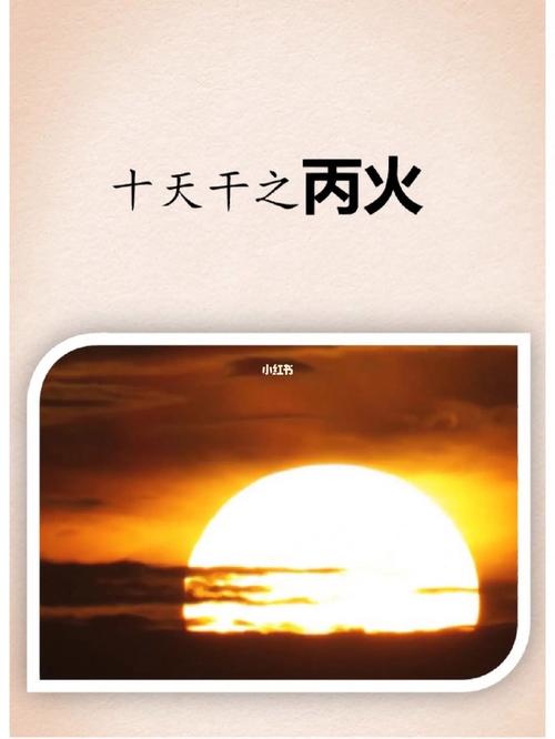 丙火生于丑月难富贵,丙火男喜欢什么类型的
