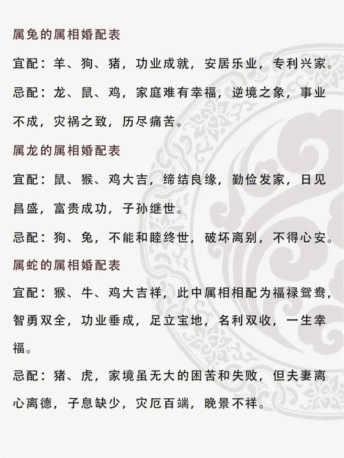 十二生肖爱情分析