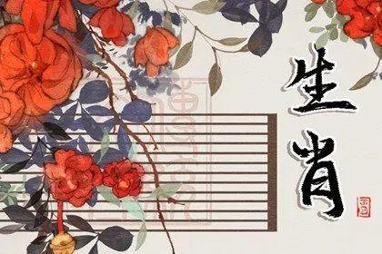 2022年会意外怀孕的生肖女