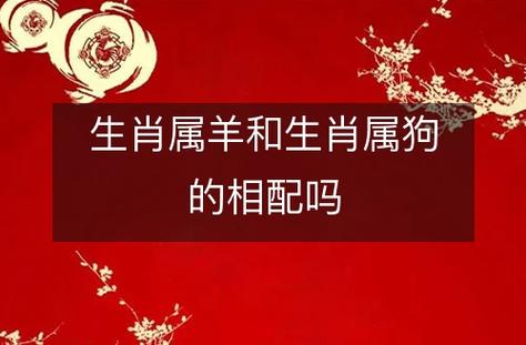 生肖属羊妈妈和生肖属狗爸爸适合生什么属相的孩子