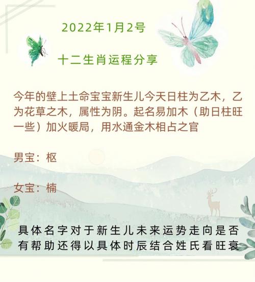 老公属羊2020年要个鼠宝宝好吗?怀孕要注意什么?