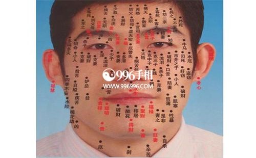 男人眉毛长痣智商是高还是低