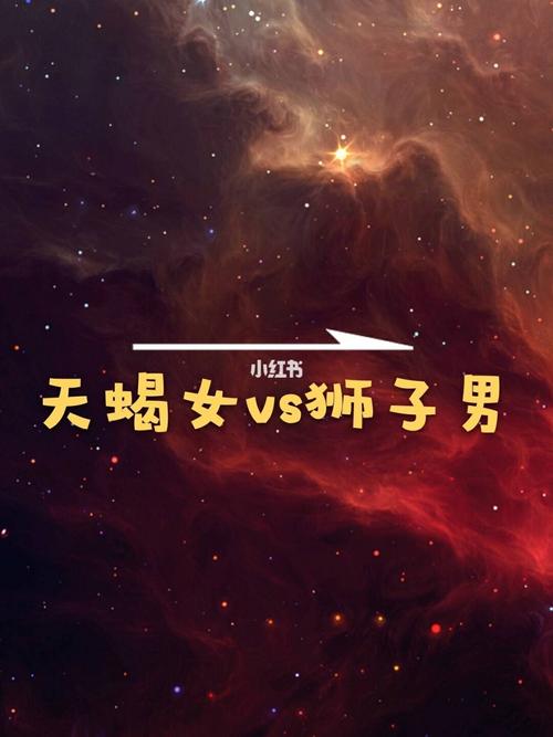 男狮子座一区和女天蝎座一区配对