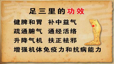足三里的作用与好处