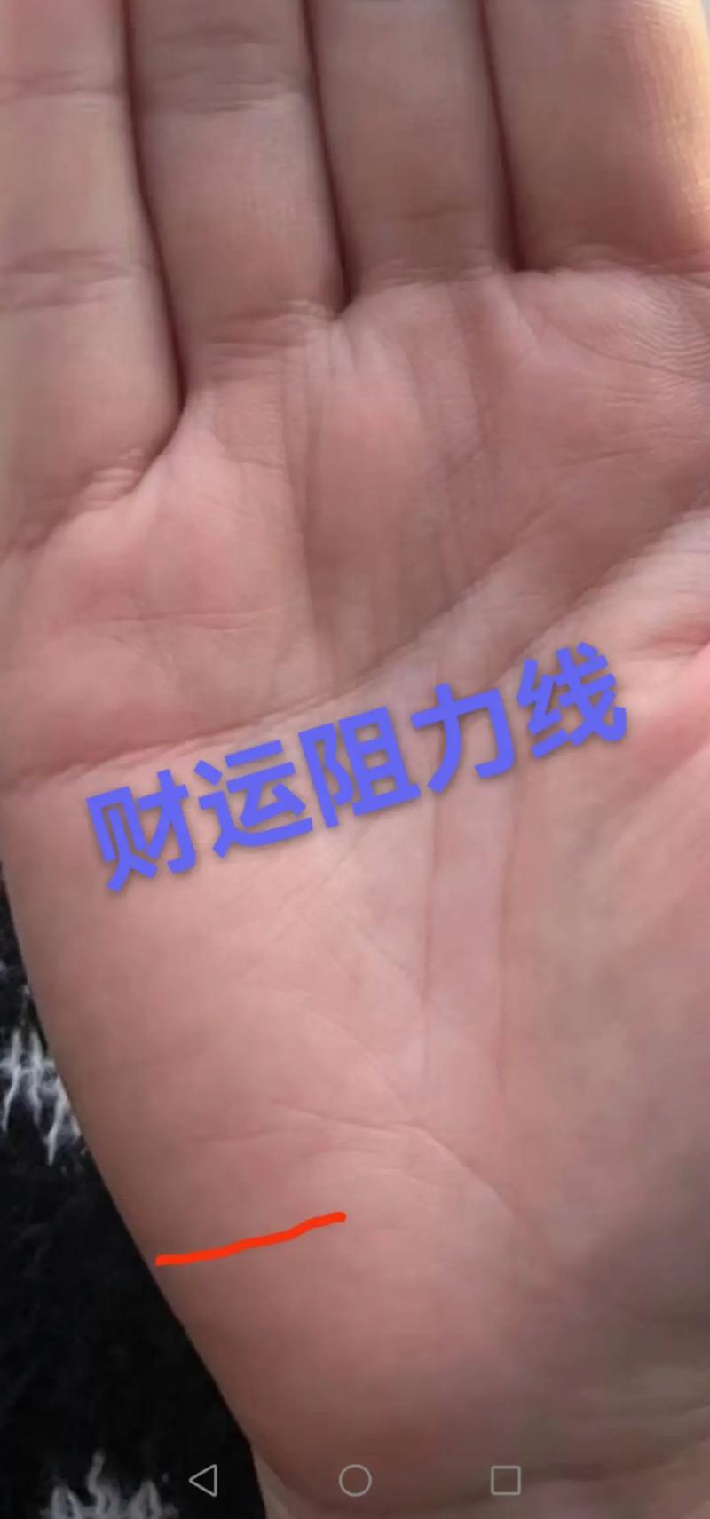 男人有大财的手纹
