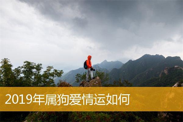 2019年属狗会遇见怎样的另一半