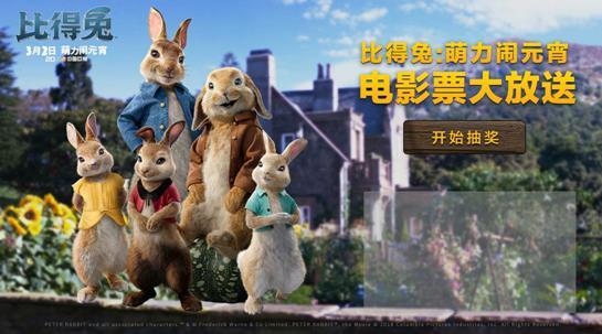 属兔人最喜欢看的电影是哪部