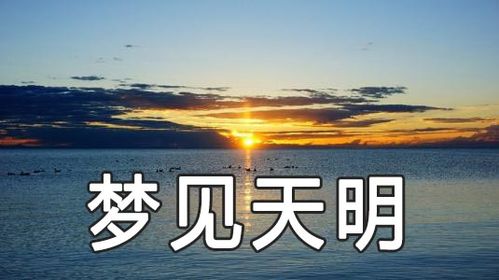 梦见天亮是不是好事