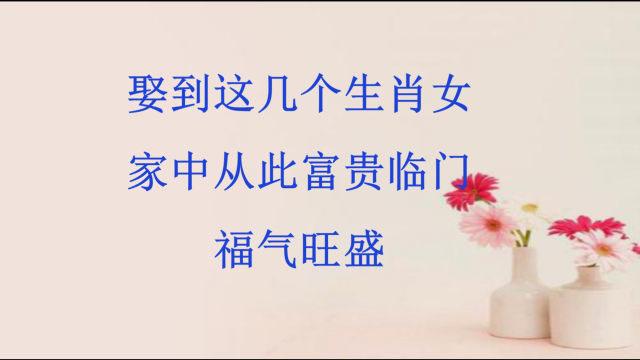 娶到这几个生肖女,生活尽是福气