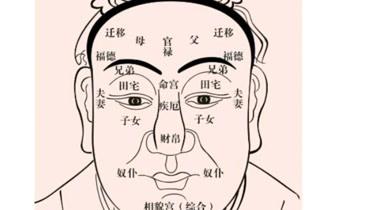 面相看哪些人能发财