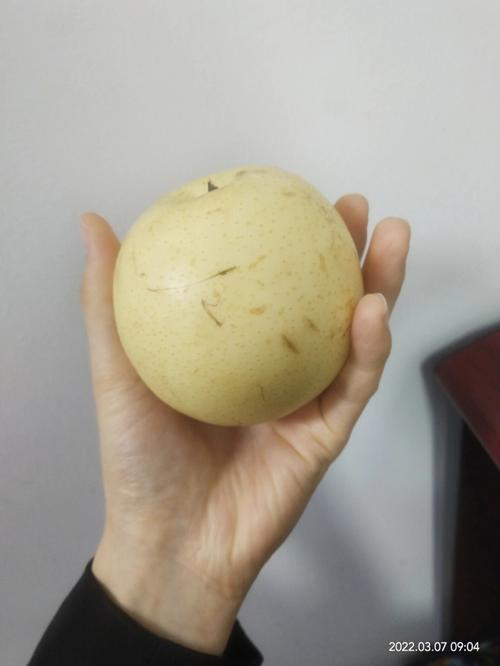 孕妇梦见梨,吃梨