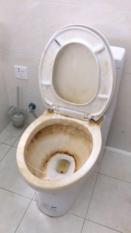 梦见马桶很脏