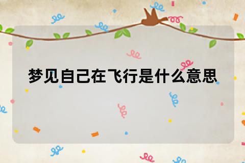 梦见飞是什么意思