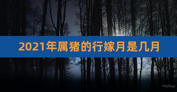 属猪2021年结婚大利月