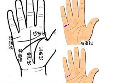 婚姻超级幸福的手相特征婚姻运势好