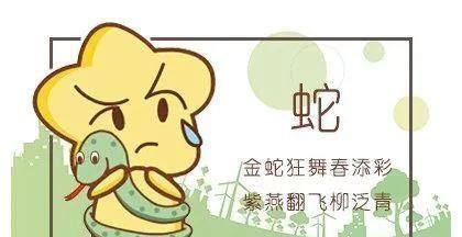 2017年属蛇下半年需要防的小人是