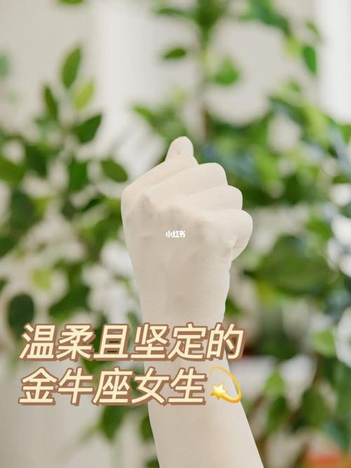 金牛座喜欢哪种女生