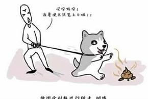 梦见狗吃屎周公解梦,梦见狗吃屎是什么意思?