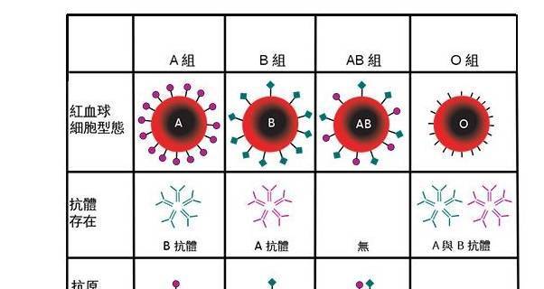 什么限制了四大血型出人头地?