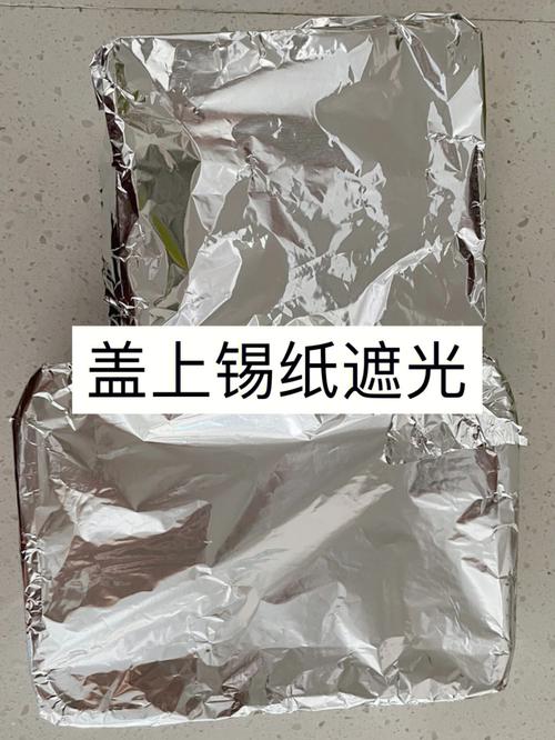 梦见买豆芽是什么意思