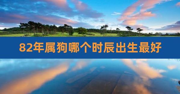 属狗哪日出生是上等之命